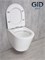 GID Унитаз подвесной Tr2130 62235Y белый 50x36x35 GID-62235Y