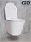 GID Унитаз подвесной Tr2130 62235Y белый 50x36x35 GID-62235Y