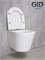 GID Унитаз подвесной Tr2130 62235Y белый 50x36x35 GID-62235Y