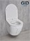 GID Унитаз подвесной Ws2198 (СС) 62228Y под камень глянцевый 49x36x35.5 GID-62228Y