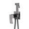 ABBER Wasserfall Смеситель AF8625NG с гигиеническим душем, никель AF8625NG - фото 330164