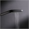 AM.PM Func Ручной душ  3 ф-ции 103х257мм, черный F028F022