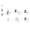 AQUAme Savona Встраиваемый смеситель на 2 потр. в комплекте с внутр. частью, металл AQM8808GM