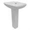 AZARIO Раковина с пьедесталом ELANA 560х440х835 (AZ-334P) AZ-334P