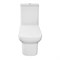 AZARIO Унитаз-компакт  Alba 620х405х805 напольный, безободковый, с сиденьем микролифт (AZ-8323) AZ-8323 - фото 340455 AZARIO Унитаз-компакт  Alba 620х405х805 напольный, безободковый, с сиденьем микролифт (AZ-8323) AZ-8323 - фото 340455