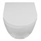 AZARIO Унитаз подвесной  Blanco торнадо, с сиденьем микролифт, дюропласт 490*360*360 (AZ-9003WT) AZ-9003WT