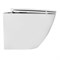 AZARIO Унитаз подвесной  Eclat 520x365x365, безободковый, система слива "Скрытое Торнадо", с быстросъемным сидением микролифт (AZ-2381-A) AZ-2381-A