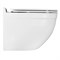 AZARIO Унитаз подвесной  Fora 368х530х410 безободковый, с системой смыва "Скрытое Торнадо", в комплекте с быстросъемным сиденьем микролифт (AZ-0017-UQ3) AZ-0017-UQ3