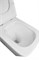 AZARIO Унитаз приставной  Teramo 600х360х410 быстросъемное сиденье микролифт (AZ-003D-NR) AZ-003D-NR