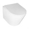 AZARIO Унитаз подвесной  Teramo 480х365х360 безободковый, в комплекте с сидением микролифт, белый (AZ-0053 SP) AZ-0053 SP