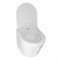 AZARIO Унитаз подвесной  Teramo 480х365х360 безободковый, в комплекте с сидением микролифт, белый (AZ-0053 SP) AZ-0053 SP