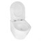AZARIO Унитаз подвесной  Teramo 480х365х360 безободковый, в комплекте с сидением микролифт, белый (AZ-0053 SP) AZ-0053 SP