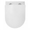 AZARIO Унитаз подвесной  Teramo 480х365х360 безободковый, в комплекте с сидением микролифт, белый (AZ-0053 SP) AZ-0053 SP