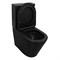 AZARIO Унитаз-компакт  Black Queen 370х605х800 безободковый, с быстросъемным сиденьем микролифт, черный матовый (AZ-8380) AZ-8380 - фото 342406 AZARIO Унитаз-компакт  Black Queen 370х605х800 безободковый, с быстросъемным сиденьем микролифт, черный матовый (AZ-8380) AZ-8380 - фото 342406