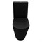AZARIO Унитаз-компакт  Black Queen 370х605х800 безободковый, с быстросъемным сиденьем микролифт, черный матовый (AZ-8380) AZ-8380 - фото 342407 AZARIO Унитаз-компакт  Black Queen 370х605х800 безободковый, с быстросъемным сиденьем микролифт, черный матовый (AZ-8380) AZ-8380 - фото 342407