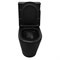 AZARIO Унитаз-компакт  Black Queen 370х605х800 безободковый, с быстросъемным сиденьем микролифт, черный матовый (AZ-8380) AZ-8380 - фото 342408 AZARIO Унитаз-компакт  Black Queen 370х605х800 безободковый, с быстросъемным сиденьем микролифт, черный матовый (AZ-8380) AZ-8380 - фото 342408