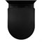AZARIO Унитаз-компакт  Black Queen 370х605х800 безободковый, с быстросъемным сиденьем микролифт, черный матовый (AZ-8380) AZ-8380 - фото 342409 AZARIO Унитаз-компакт  Black Queen 370х605х800 безободковый, с быстросъемным сиденьем микролифт, черный матовый (AZ-8380) AZ-8380 - фото 342409