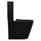 AZARIO Унитаз-компакт  Black Queen 370х605х800 безободковый, с быстросъемным сиденьем микролифт, черный матовый (AZ-8380) AZ-8380 - фото 342413 AZARIO Унитаз-компакт  Black Queen 370х605х800 безободковый, с быстросъемным сиденьем микролифт, черный матовый (AZ-8380) AZ-8380 - фото 342413