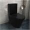 AZARIO Унитаз-компакт  Black Queen 370х605х800 безободковый, с быстросъемным сиденьем микролифт, черный матовый (AZ-8380) AZ-8380 - фото 342418 AZARIO Унитаз-компакт  Black Queen 370х605х800 безободковый, с быстросъемным сиденьем микролифт, черный матовый (AZ-8380) AZ-8380 - фото 342418
