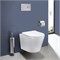 VINCEA Piatti Унитаз подвесной Piatti VT1-11S, цвет белый, ультратонкое soft-close сиденье VT1-11S - фото 357522