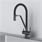 AM.PM Func Смеситель для кухни с каналом для питьевой воды и гибким изливом, черн.,черн. излив F8F07822