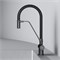 AM.PM Func Смеситель для кухни с каналом для питьевой воды и гибким изливом, черн.,черн. излив F8F07822