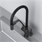 AM.PM Func Смеситель для кухни с каналом для питьевой воды и гибким изливом, черн.,черн. излив F8F07822