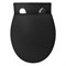 AZARIO Keras Унитаз подвесной matt black 520х370х360 безободковый, с быстросъемным сиденьем микролифт, черный матовый (AZ-99046B) AZ-99046B
