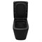 AZARIO Black King Унитаз-компакт 370х640х810 безободковый, с быстросъемным сиденьем микролифт, черный матовый (AZ-8303D) AZ-8303-D