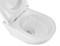 AZARIO Bonelle Унитаз подвесной 345х490х350 безободковый, смыв "Торнадо", с быстросъемным сиденьем микролифт (AZ-2801E) AZ-2801E