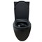AZARIO Унитаз-компакт Cobalt-Black 610x360x805 напольный, безободковый, система смыва "скрытое Торнадо", с быстросъемным сиденьем "Микролифт", черный матовый (AZ-6089A-MB) AZ-6089A-MB