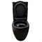 AZARIO Унитаз-компакт Cobalt-Black 610x360x805 напольный, безободковый, система смыва "скрытое Торнадо", с быстросъемным сиденьем "Микролифт", черный матовый (AZ-6089A-MB) AZ-6089A-MB