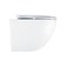 AZARIO Унитаз подвесной ADAGIO 360х485х365 безободковый, система смыва "Скрытое Торнадо", с быстросъемным сиденьем "Микролифт" (AZ-5177T-WHT) AZ-5177T-WHT
