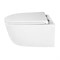 AZARIO Унитаз подвесной NATA 360х515х350 безободковый, система смыва "Скрытое Торнадо", с быстросъемным сиденьем "Микролифт" (AZ-5102T-WHT) AZ-5102T-WHT
