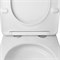 AZARIO Унитаз подвесной LISTA 490х365х340 безободковый, система смыва "Скрытое Торнадо", с быстросъемным сиденьем "Микролифт" (AZ-1177T) AZ-1177T