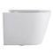 VECONI Унитаз подвесной Ando VAN-48T, белый VAN-48T