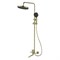 LEMARK Смеситель Siberia LMF-7026B-BRG для ванны и душа с регулируемой высотой штанги и лейкой верхнего душа «Тропический дождь», брашированное золото LMF-7026B-BRG