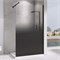 ABBER Immer Offen Душевая перегородка профиль - черный / стекло - тонированное ширина 120 см AG69121BD