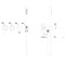 WONZON & WOGHAND Смеситель для ванны встраиваемый STICK, Брашированный никель (WW-889017-BN) WW-889017-BN
