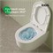 IDDIS Унитаз подвесной безободковый, Эйгер Кью (Aiger Q), AIQRDSEi25 AIQRDSEi25