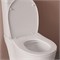 IDDIS Сиденье из полипропилена, 009, микролифт (soft-close), быстросъемное, 009PPSEi31 009PPSEi31