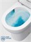 BELBAGNO Унитаз-компакт с сиденьем и смывом TORNADO LOUNGE-TOR-2 BB2802CP/T-TOR/SC BB2802CP/T-TOR/SC