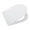 BELBAGNO Крышка-сиденье BB090SC BB090SC